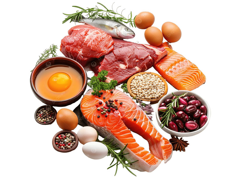 Fleisch and Fisch